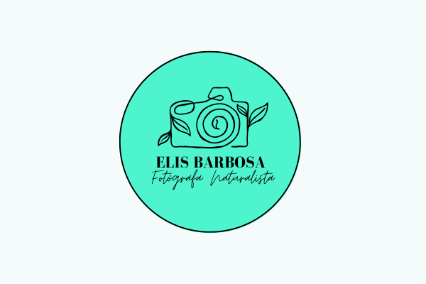 Ilustração da logo Elis Barbosa - Fotógrafa Naturalista, na paleta turquesa com preto, desenho de uma câmera com folhas ao redor, duas fontes de letra.